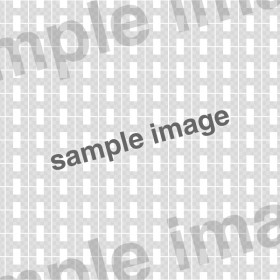 List and Heading Styles